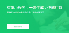 不懂代码照样拥有！有赞助你一键