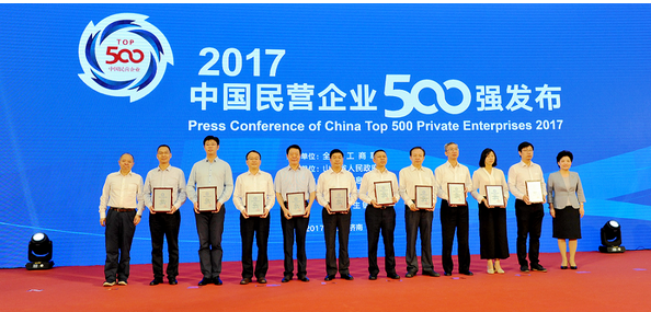 高纪凡：民营企业“走出去”，要为全球提供中国解决方案
