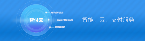 智付云：不断崛起的