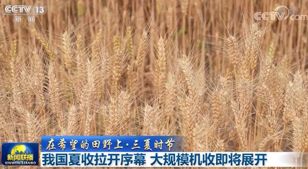 我国夏收拉开序幕 大