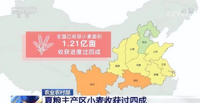 超3亿亩小麦迎来收割季，市场收购