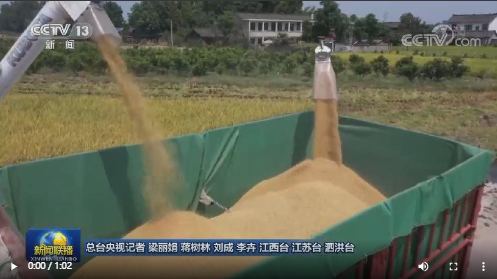 夏粮旺季收购接近尾