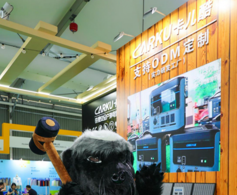 卡儿酷团宠——酷哥