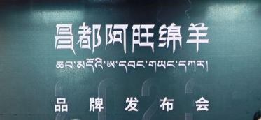 昌都阿旺绵羊全国首